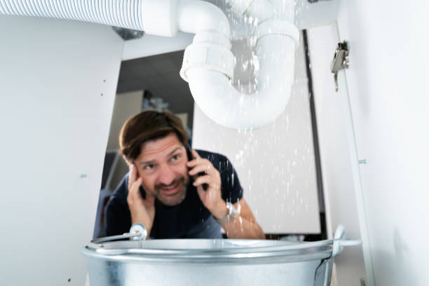 Best Local Plumber Services  in Necedah, WI