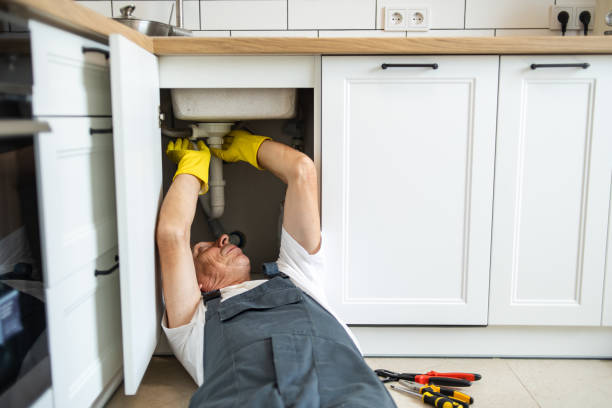 Best Sprinkler Systems  in Necedah, WI