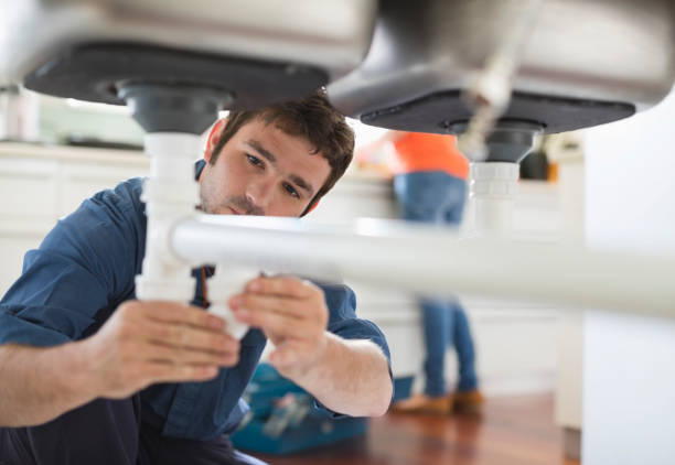 Best Emergency Plumber  in Necedah, WI