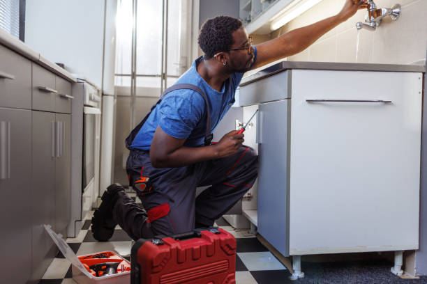 Best Plumbing Repair Near Me  in Necedah, WI