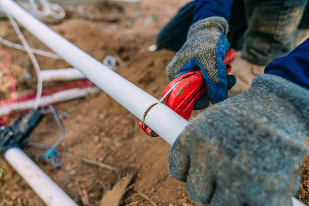 Best Local Plumber Services  in Necedah, WI
